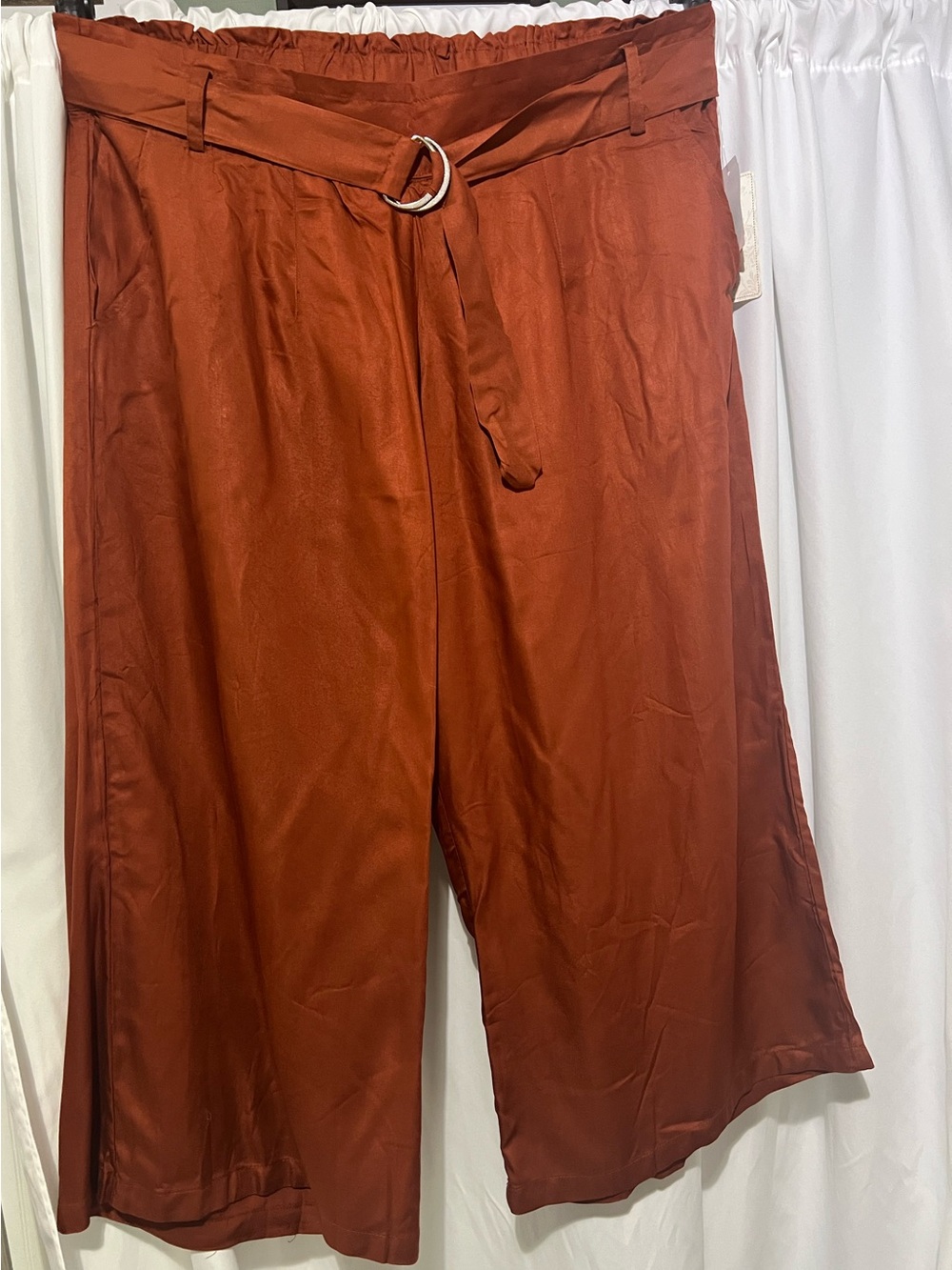French Laundry Wide-Leg Belted Pants in Rust/Burnt Orange 2X